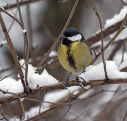 Similar image 21424190