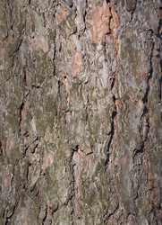 Similar image 21424192