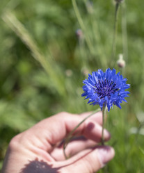 Similar image 21424312