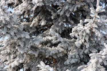 Similar image 21424348