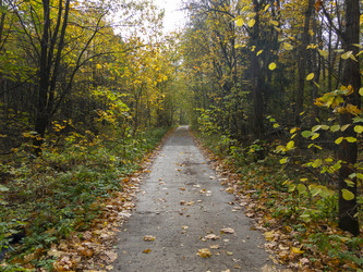 Similar image 21424352