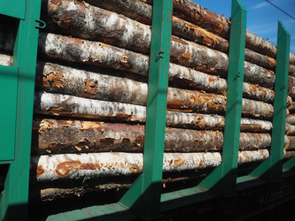 Similar image 21416522