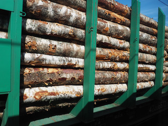 Similar image 21416523