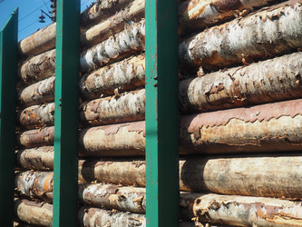 Similar image 21416524