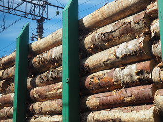 Similar image 21416526