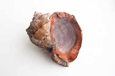 Similar image 21417357