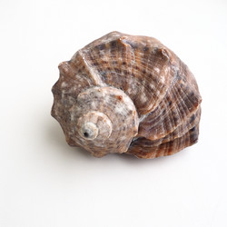 Similar image 21417831