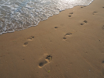 Similar image 21417832