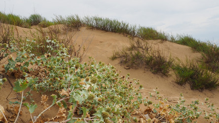 Similar image 21389138