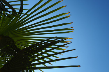 Similar image 21416413