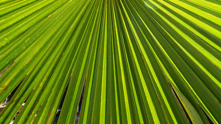 Similar image 21416529