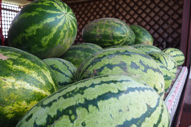 Similar image 21416536