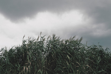 Similar image 21416537