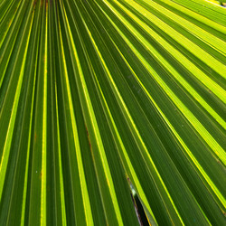 Similar image 21416538