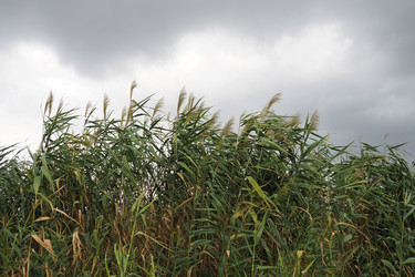 Similar image 21416541