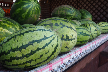 Similar image 21417010