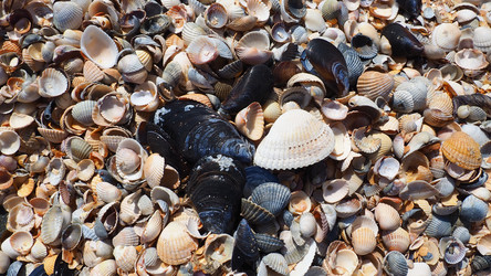 Similar image 21417013