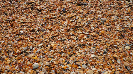 Similar image 21417019