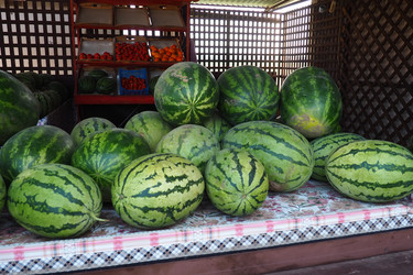 Similar image 21417020