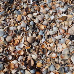 Similar image 21417360