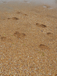 Similar image 21389341