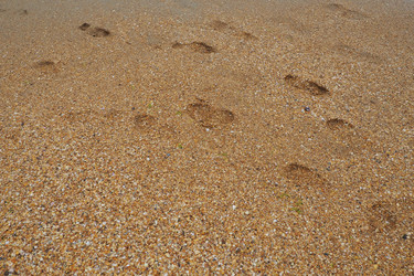 Similar image 21389342