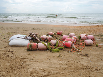 Similar image 21389344