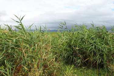 Similar image 21389347