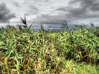 Similar image 21390248