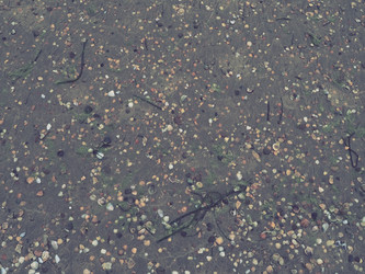 Similar image 21390249