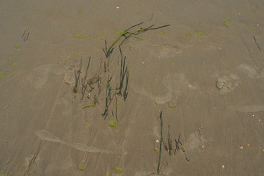 Similar image 21390252