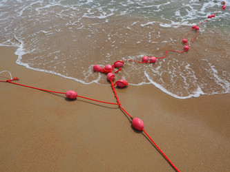 Similar image 21390253