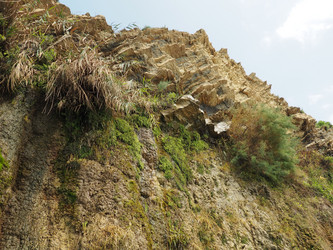 Similar image 21389351