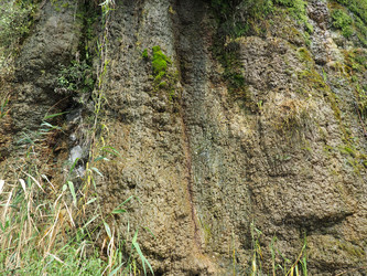 Similar image 21389352