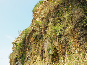 Similar image 21389353