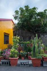 Similar image 21408218