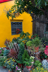 Similar image 21408220