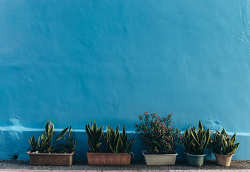 Similar image 21408222