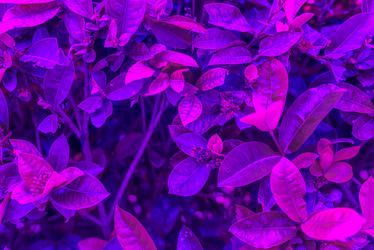 Similar image 21408600