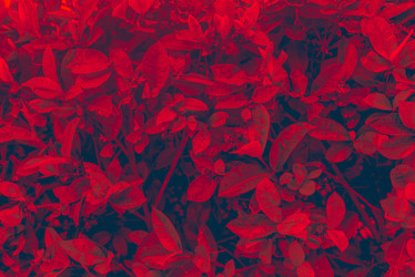 Similar image 21408601