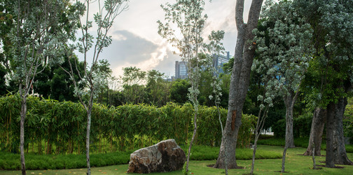 Similar image 21408613