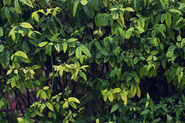 Similar image 21408628