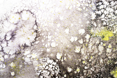 Similar image 21408232