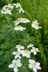 Similar image 21408641