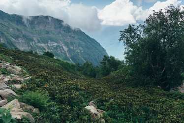 Similar image 21408642