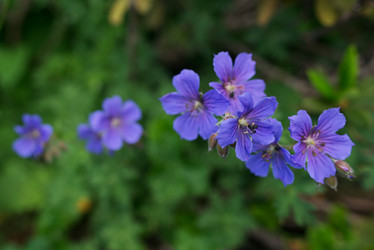 Similar image 21408645