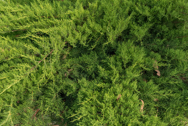 Similar image 21408035