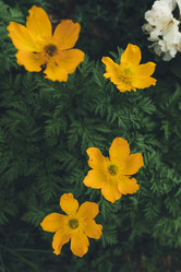 Similar image 21408087