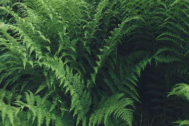 Similar image 21408088