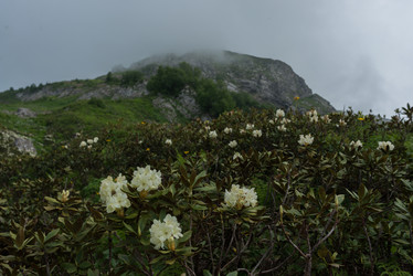 Similar image 21408089